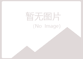 东川区沙砾邮政有限公司